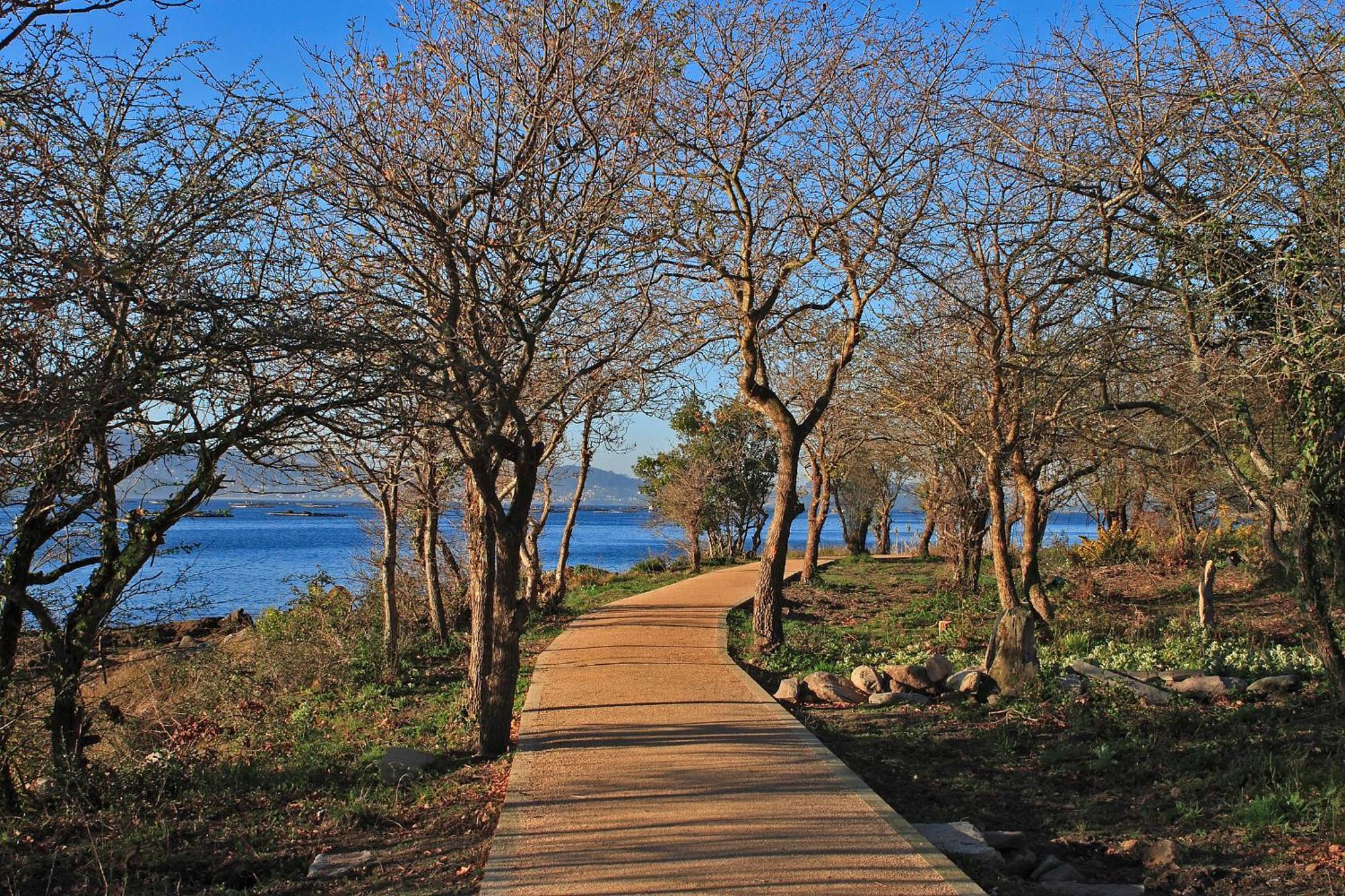 Villa Covelo Poio Bagian luar foto